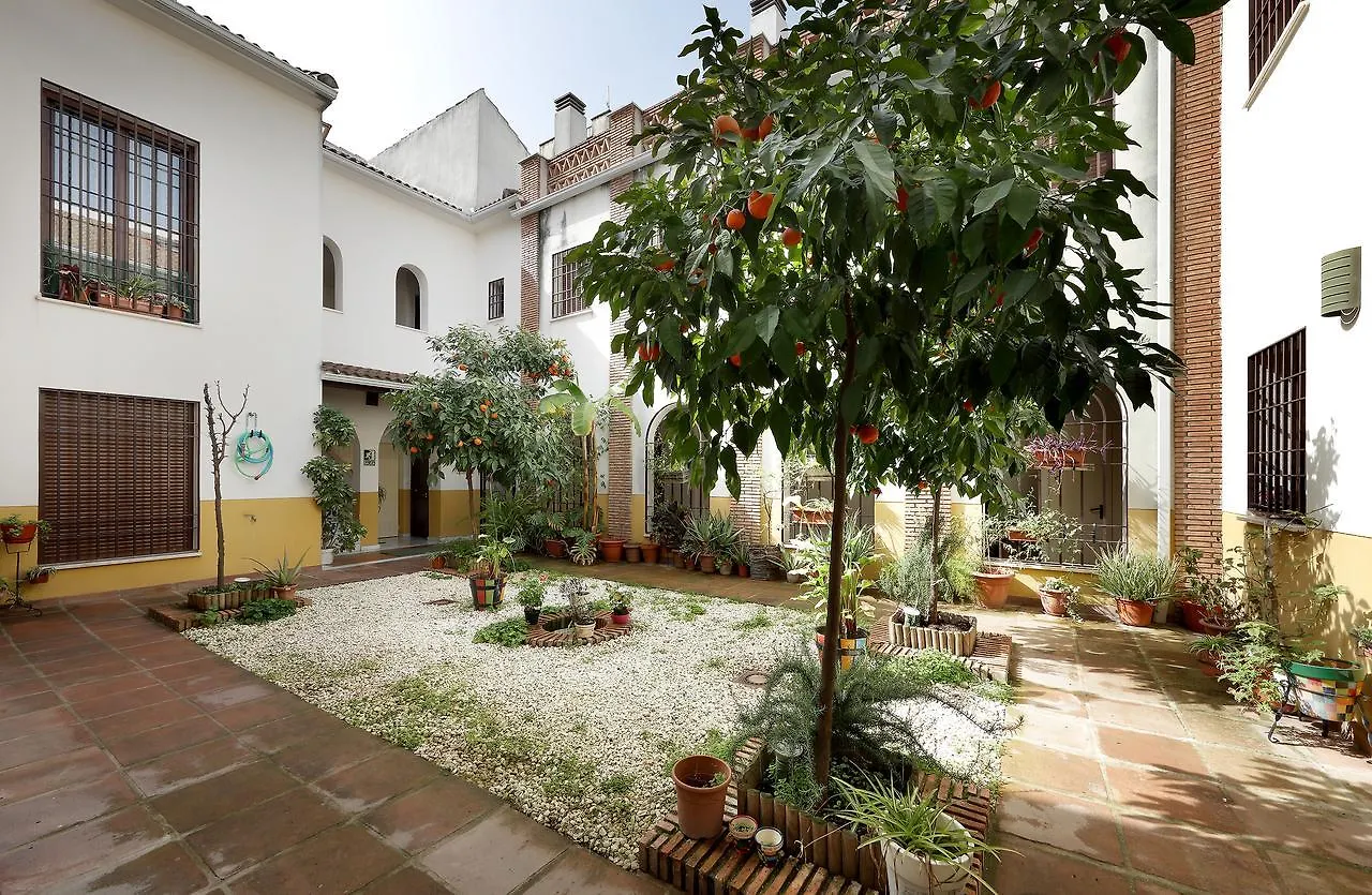 Apartamentos Patios De Alcantara Cordoue Espagne